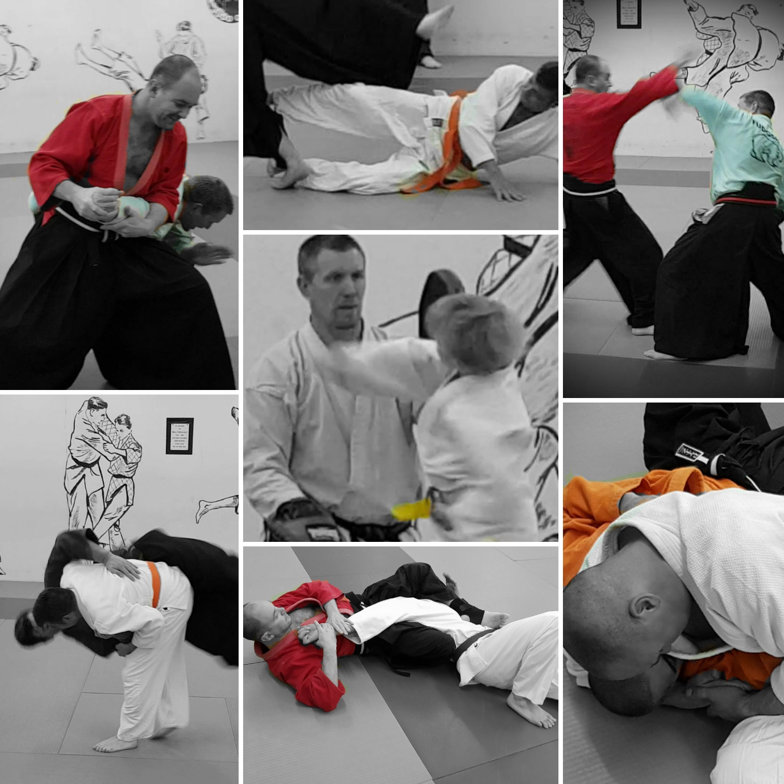 Dorchester & Weymouth Fudoshin Jujitsu & Martial Arts